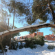 Fallen trees and branches at a public park on January 11, 2021, in Majadahona, Madrid, Spain